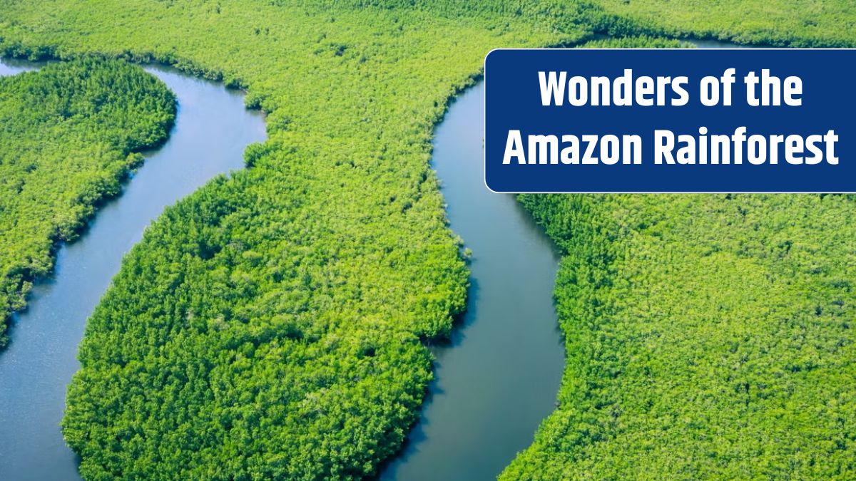 Amazon River