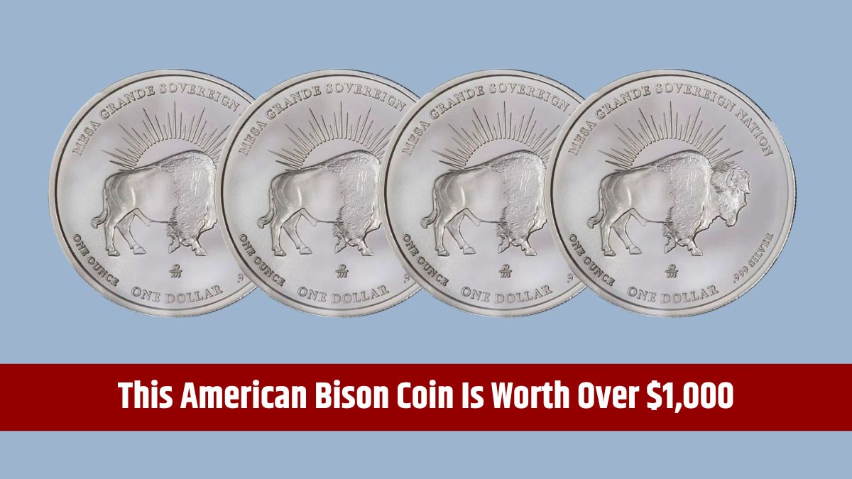 American Bison Coin