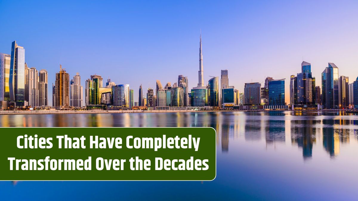 Dubai – United Arab Emirates