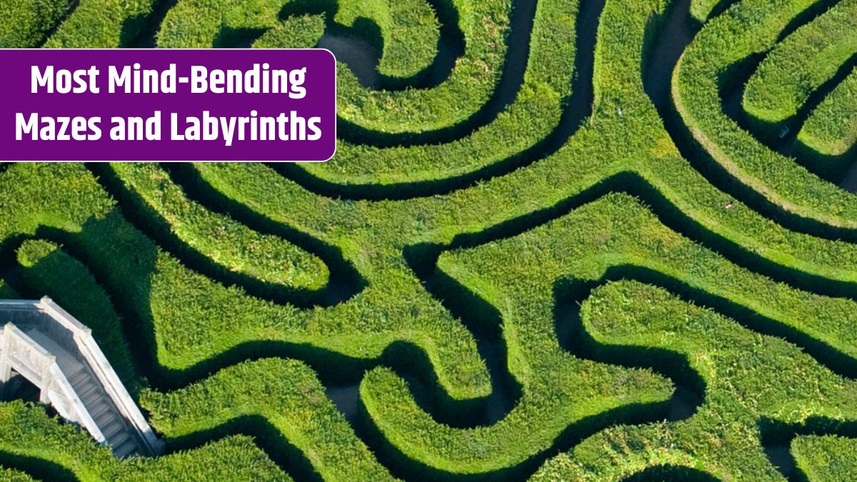 Longleat Hedge Maze, England
