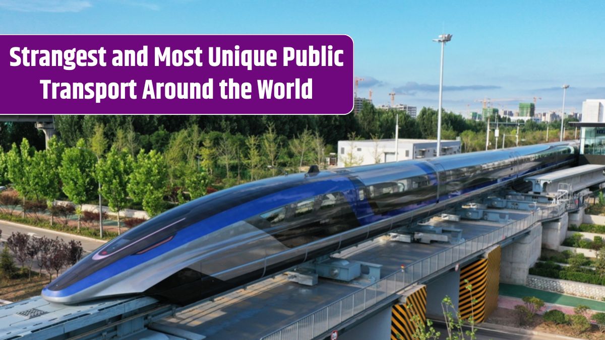 Maglev