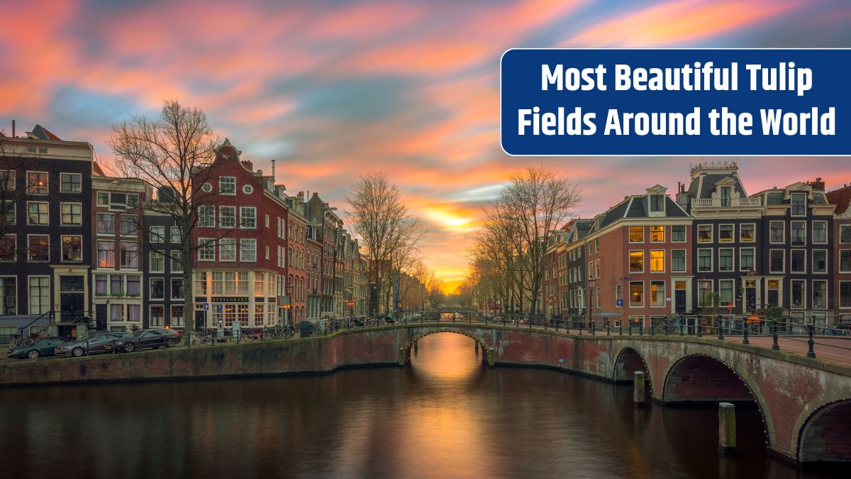 Netherlands