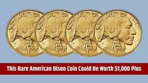 American Bison Coin