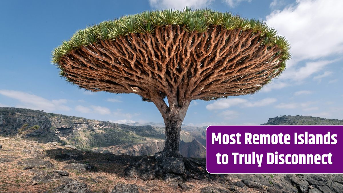 Socotra